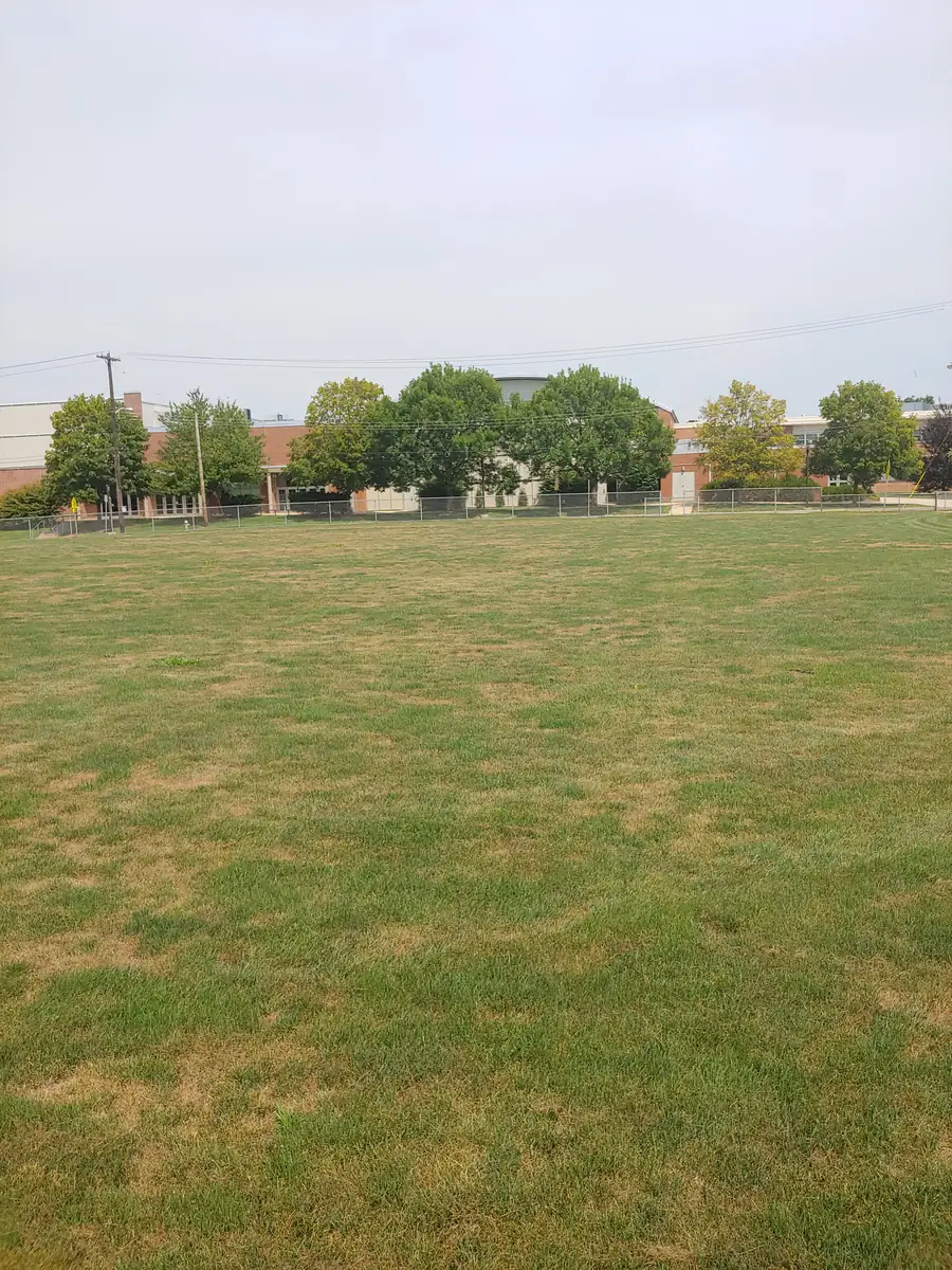Untreated: Turf & athletic fields